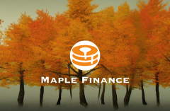 tpwallet钱包app官方下载|专访Maple Finance：布局RWA贷款业务，「窒息点行动2.0」也